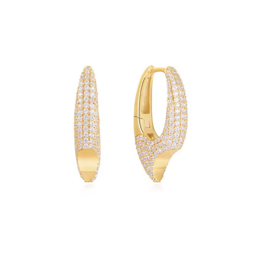Big Hoop Earring