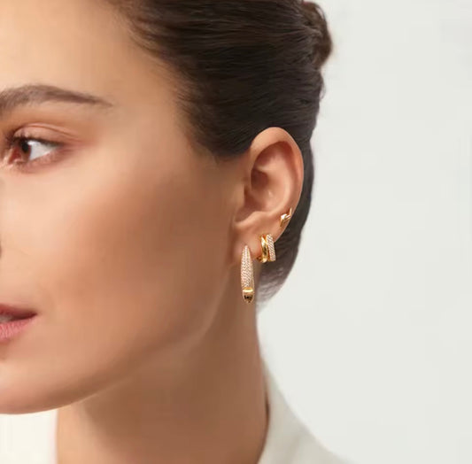 Big Hoop Earring